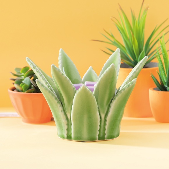 Other - Aloe Vera (Warmer) Scents